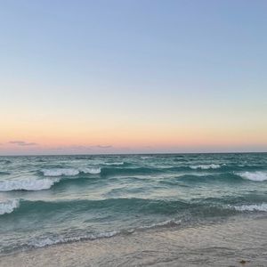 Meet your Posher, Tegan